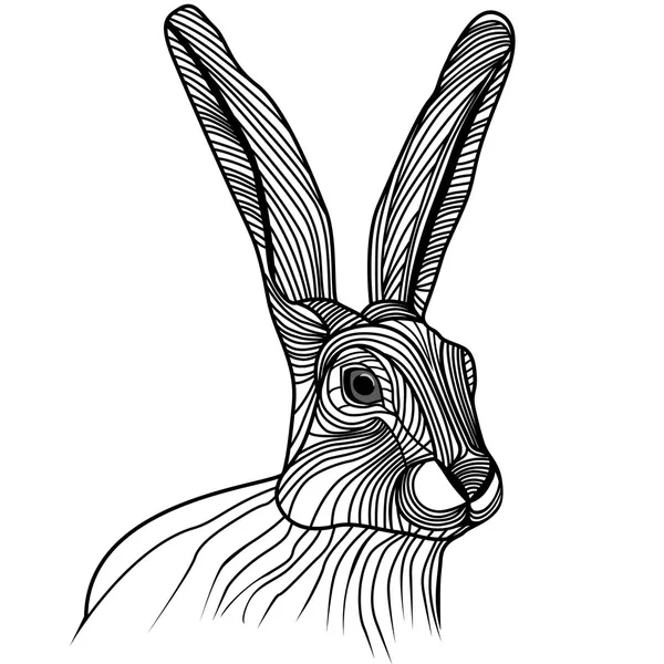 Rabbit or hare head vector illustration — Stock Vector