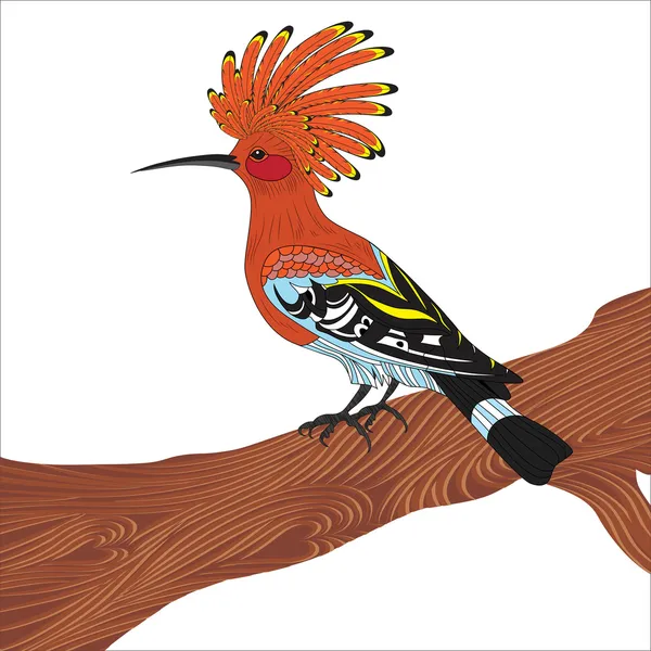 Pájaro Hoopoe vector ilustración — Archivo Imágenes Vectoriales