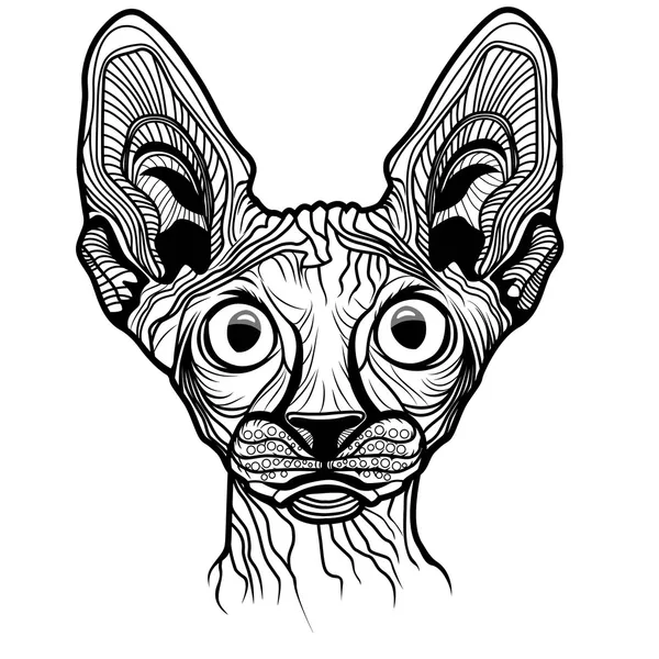 Kedi kafası vektör çizim — Stok Vektör