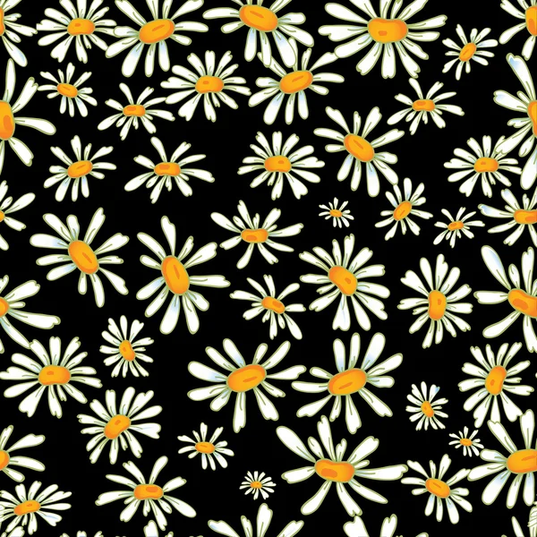 Camomille motif sans couture — Image vectorielle