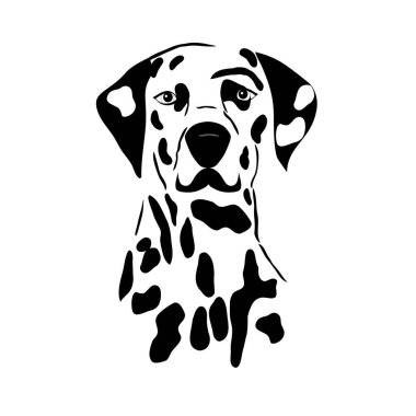 Beyaz arka planda izole edilmiş siyah renkli Köpek Dalmaçyalı vektör çiziminin dekoratif ana hatları. Tasarım ve dövme için resim.