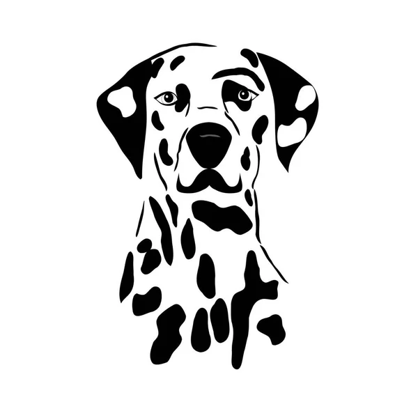 Esboço Decorativo Retrato Dog Dálmata Vetor Ilustração Cor Preta Isolado — Vetor de Stock