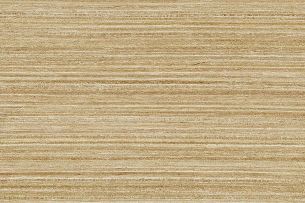 真正无缝纹理的枫 高详细的木材纹理系列 — 图库照片