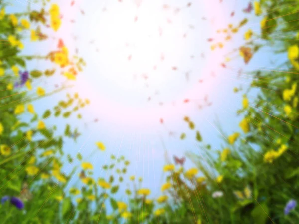 Light Green Blue Spring Background Sun Shine Blurry Flowers — 图库照片