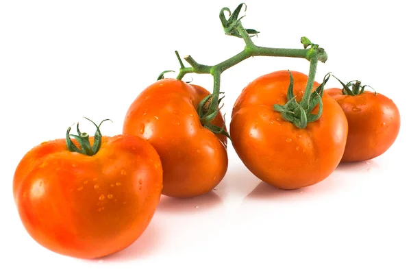 四个西红柿与叶柄 — 图库照片