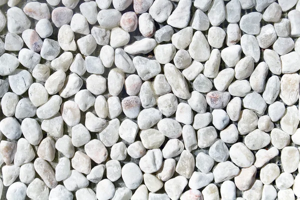 White pebble stones as background — Stock Photo, Image