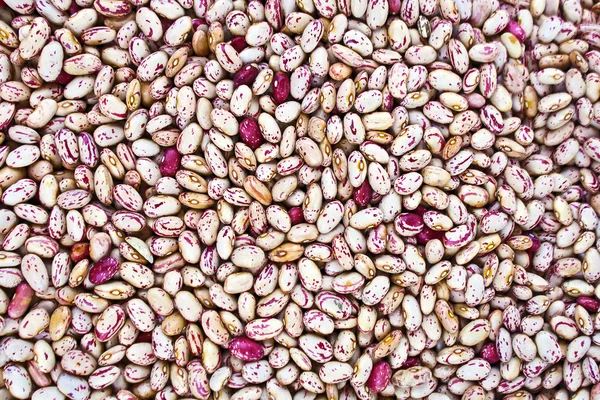 Cranberry beans as background — Stock Photo, Image