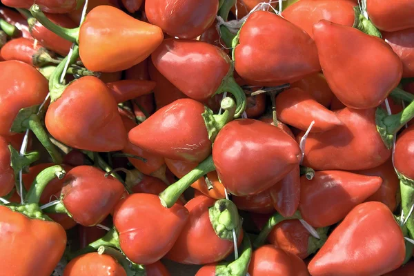 Haldy čerstvé červené chilli papričky jako pozadí — Stock fotografie