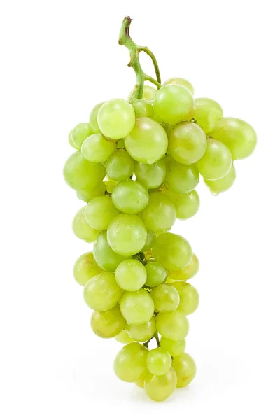 White grape — Stock Photo, Image