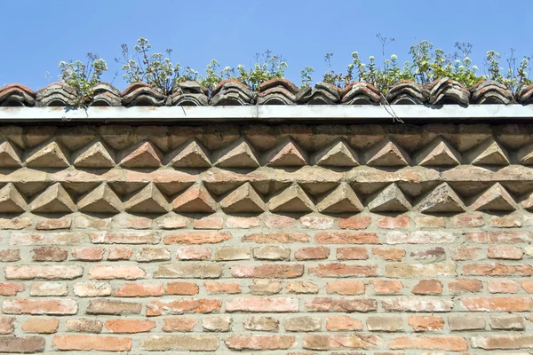 Stary ceglany mur z dziko rosnących roślin nad niebieski niebo — Zdjęcie stockowe