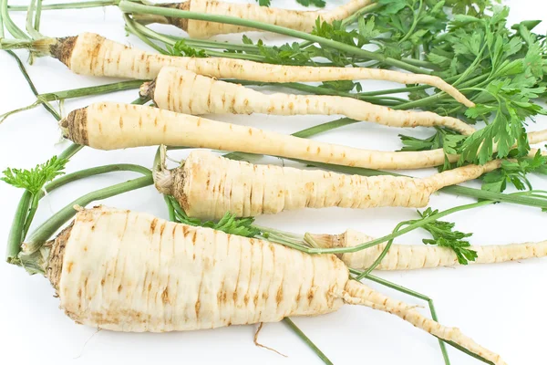 Fresh parsley with root and leaf — Stock Photo, Image