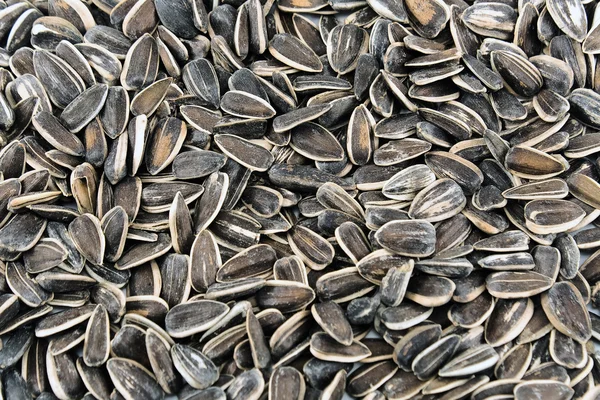 Slunečnicová semena pozadí — Stock fotografie