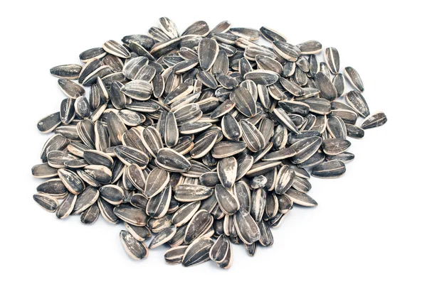 Pilha de semente de girassol — Fotografia de Stock