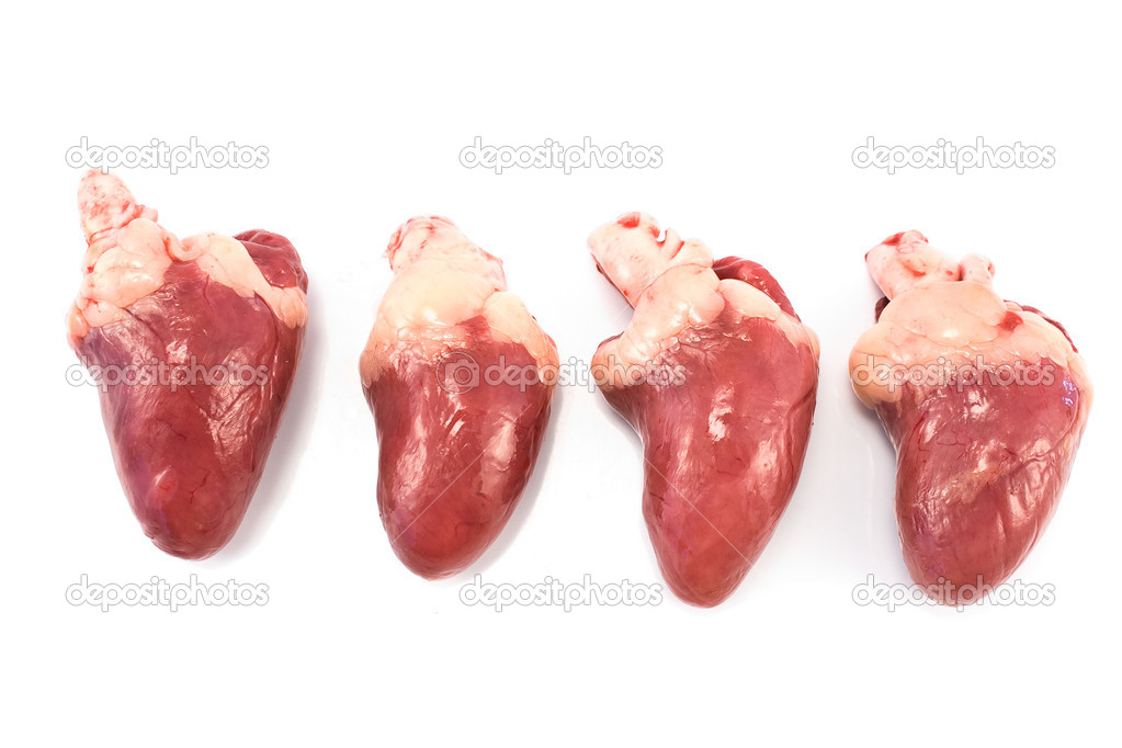 Four raw chicken hearts isolated on white