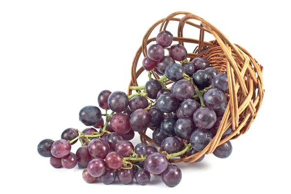 Dark grapes in a basket on white — Stock Photo, Image