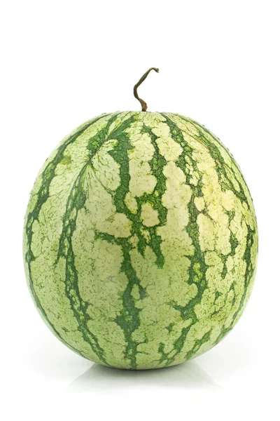 Vattenmelon isolerad på vitt — Stockfoto