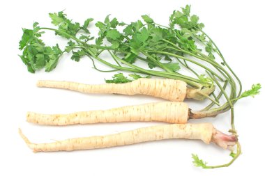 kök ve yaprak beyaz taze maydanoz