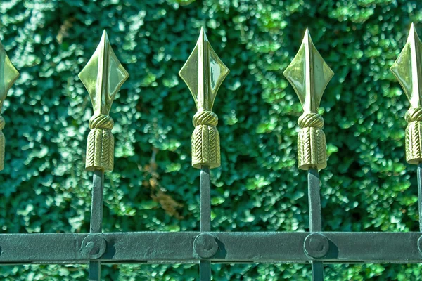 Złote kolce na płocie żelaza na zielonych roślin — Zdjęcie stockowe