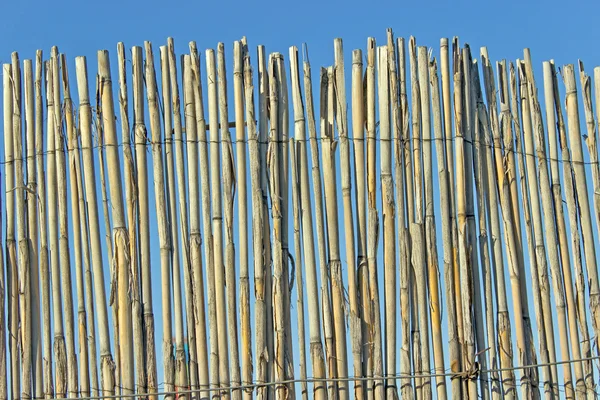Old cane fence texture over blue sky — Stock Photo, Image