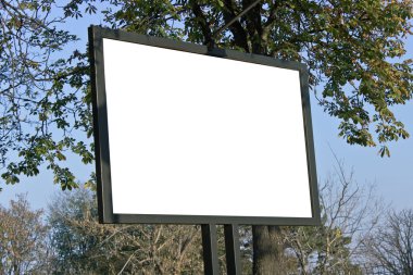 Mavi gökyüzü ile bir parkta boş Pano