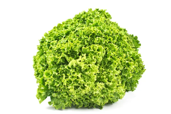 Lechuga verde fresca aislada en blanco — Foto de Stock