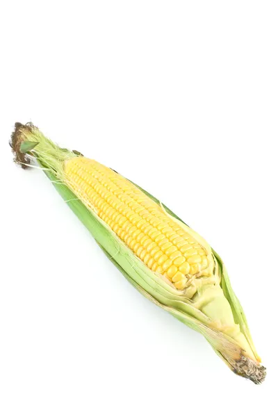 Verse maïs geïsoleerd op wit — Stockfoto