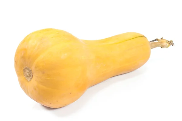 Zucca isolata su bianco — Foto Stock