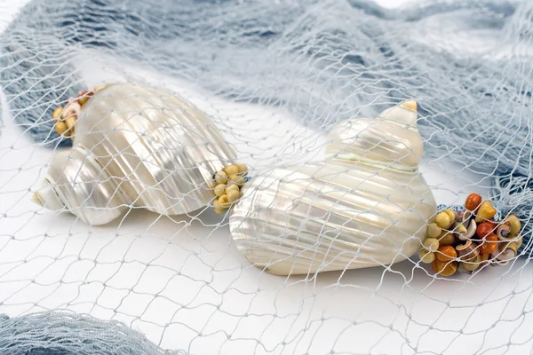 Cáscaras de mar en la bufanda femenina de colores en blanco — Foto de Stock