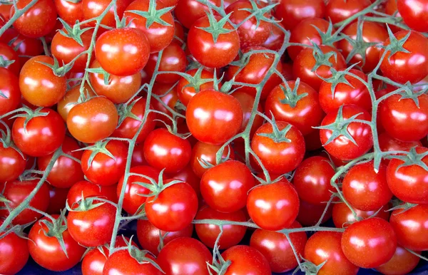 Čerstvá rajčata jako pozadí — Stock fotografie
