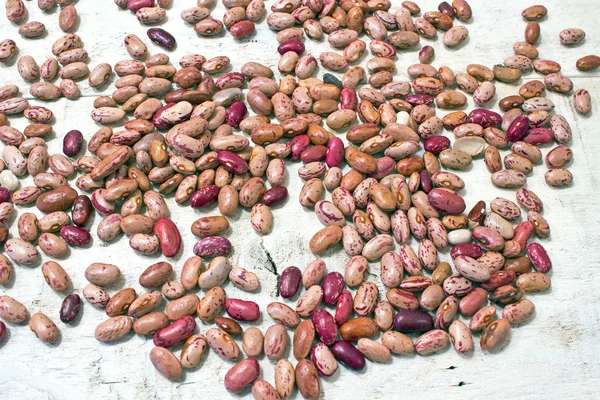 Cranberry beans on white wooden background — Stock Photo, Image