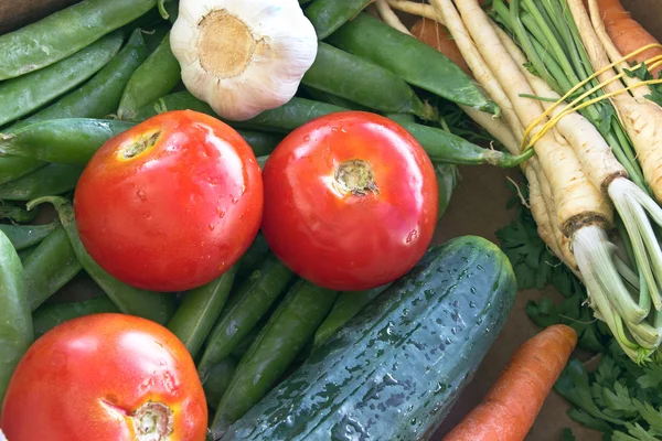 Varias verduras orgánicas primer plano — Foto de Stock