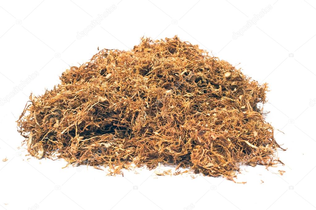 Pile of dried tobacco isolated on white