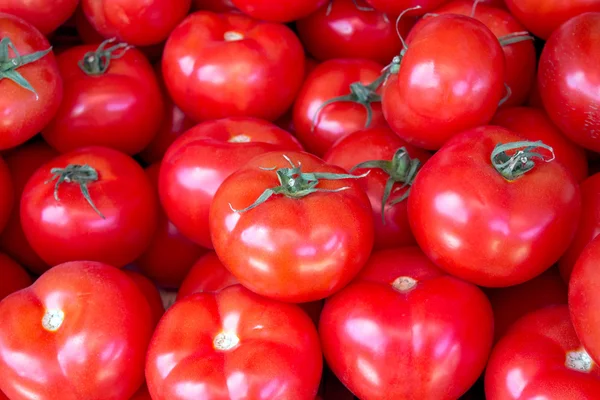 Čerstvá rajčata jako pozadí — Stock fotografie