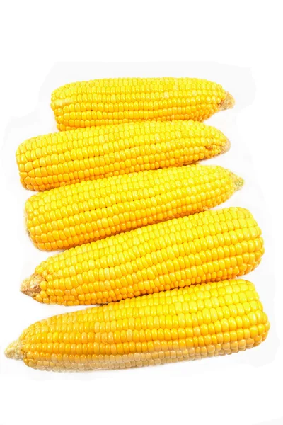 Mais isoliert auf weiß — Stockfoto