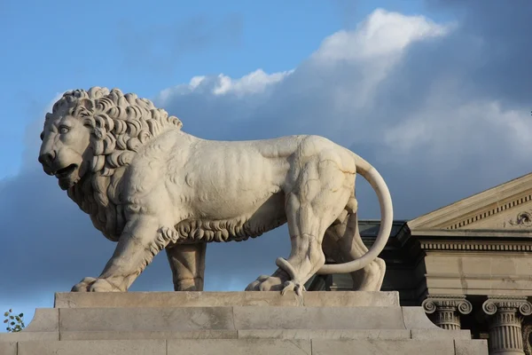 Лев в Париже — стоковое фото