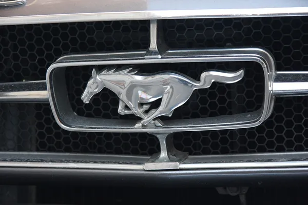 Mustang. Fotos de stock