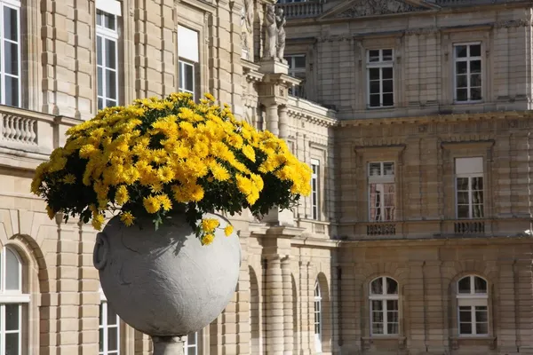 Palais du Luxembourg — Stockfoto