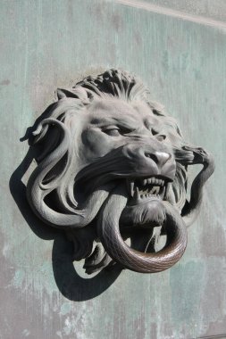 Aslan ve yılan