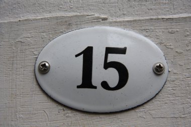 Sayı 15