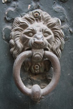 tokmağı