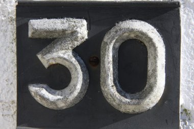 Sayı 30