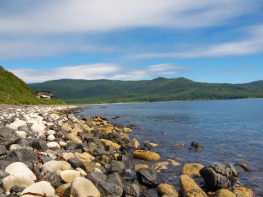 kayalık deniz kıyısı