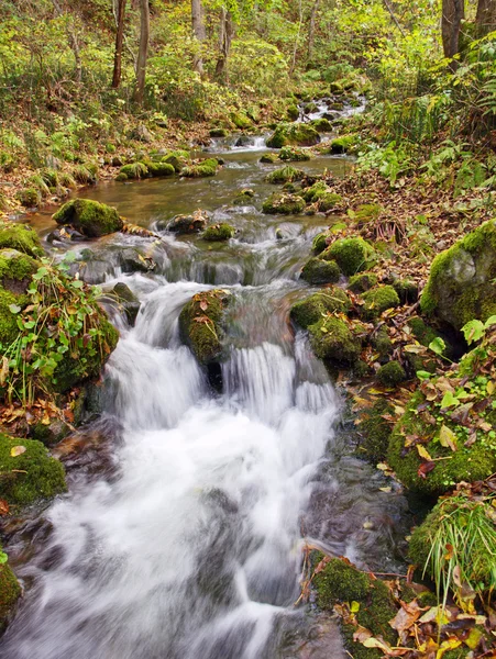 Falls on the mountain river — Stock Photo, Image