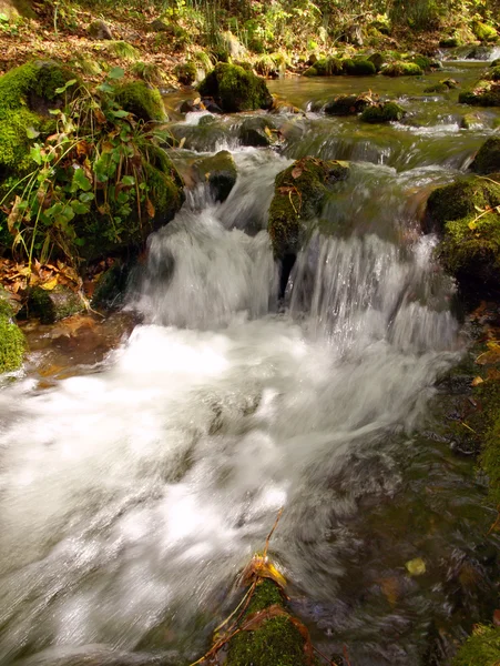 Caídas en el río de montaña — Foto de Stock