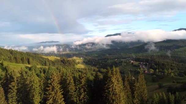 Ουράνιο Τόξο Μετά Βροχή Στην Ορεινή Φύση Πάνω Από Δάσος — Αρχείο Βίντεο