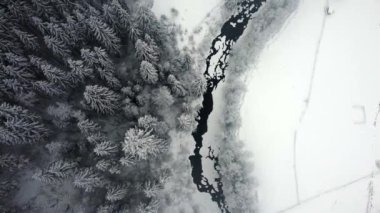 Aerial view on the river and forest in winter. High quality 4k footage