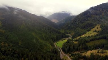 İnsansız hava aracı dağlarla çam ormanı arasındaki yeşil ovalarda dar bir dağ yolunun üzerinden uçuyor. Sisli hava manzarası. Yüksek kalite 4k görüntü