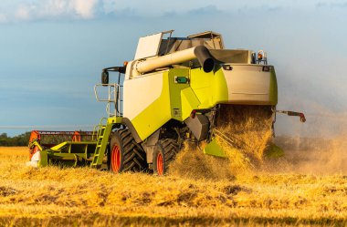 Arka taraftaki buğday tarlasında hasatçıyı birleştir..