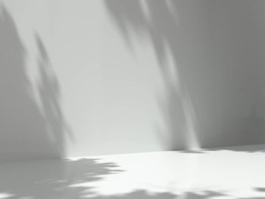 Gösterge için kaldırım, tasarım için platform, boş odada boş ürün standı ve duvarda 3D ağaç gölgesi var..