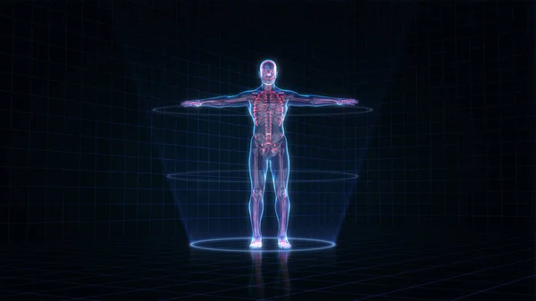 Hologram Ανθρώπινη Ανατομία Και Σκελετός Σκούρο Φόντο Απόδοση — Φωτογραφία Αρχείου
